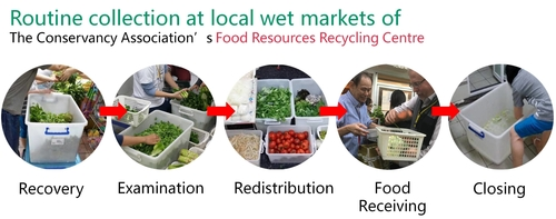  Routine collection at local wet markets
